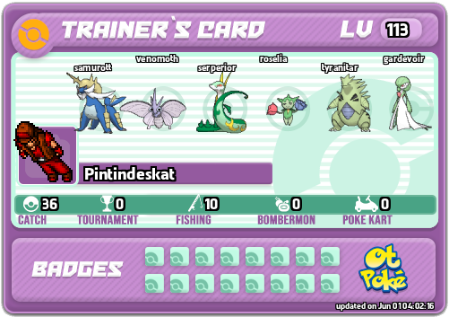 Pintindeskat Card otPokemon.com