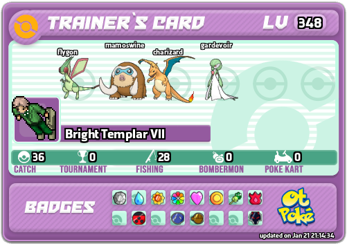 Bright Templar Vll Card otPokemon.com